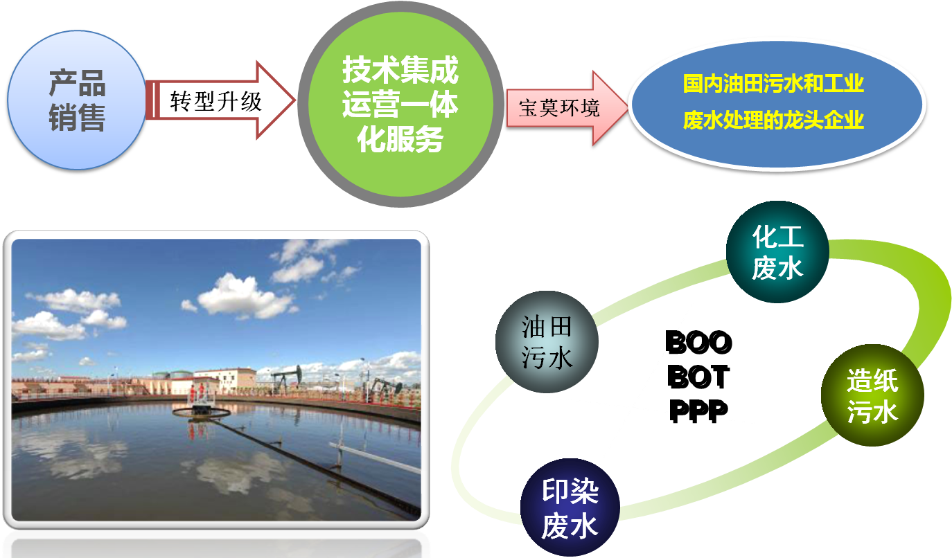 山东宝莫生物化工股份有限公司