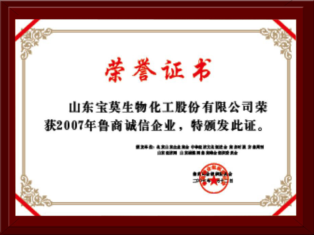 山东宝莫生物化工股份有限公司