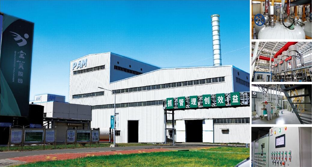 山东宝莫生物化工股份有限公司