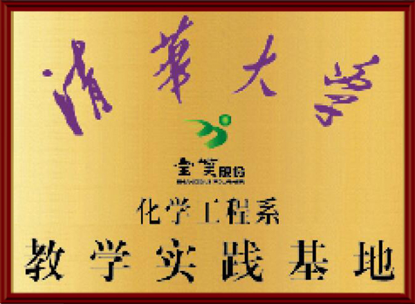 山东宝莫生物化工股份有限公司